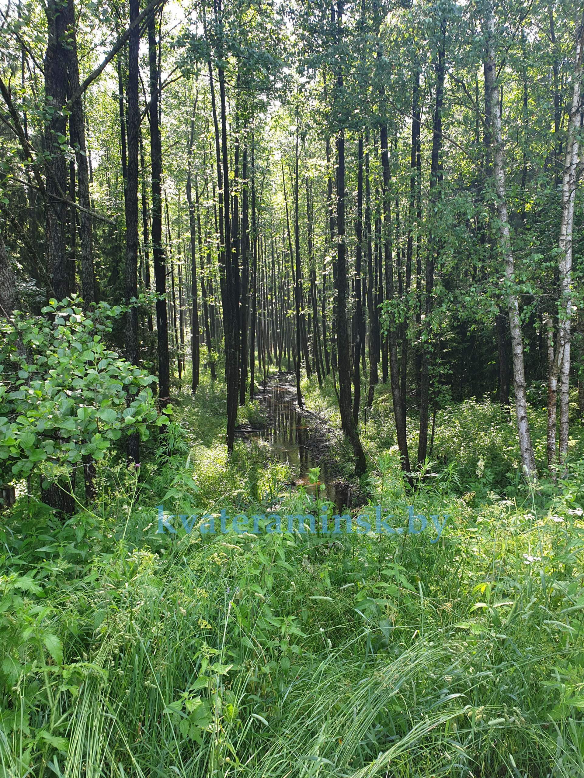 Каменка