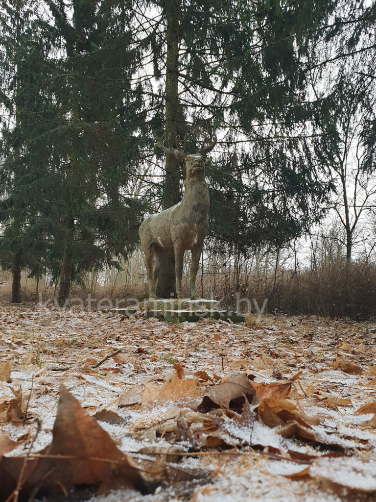 Совейки олень